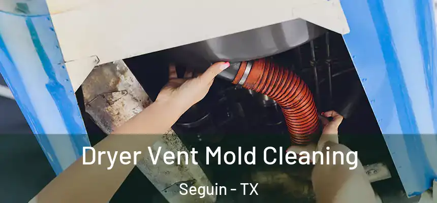  Dryer Vent Mold Cleaning Seguin - TX