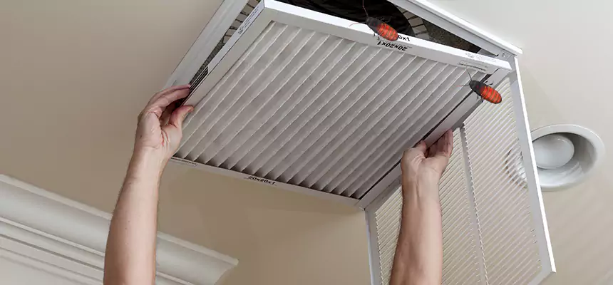Preventive Cockroach-Proofing for Ducts in Seguin