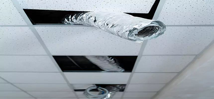 Our Air Duct Pet Hair Removal Services in Seguin, TX