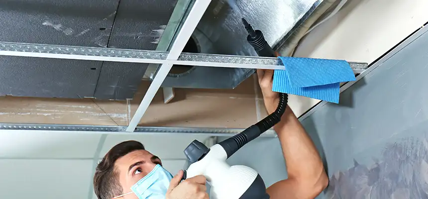 Our Air Duct Rodent Removal Services in Seguin, TX