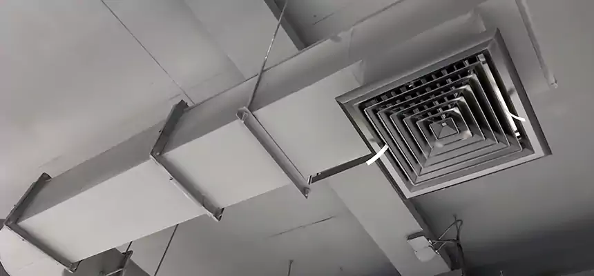 Our Pest Removal From Ducts Services in Seguin, TX