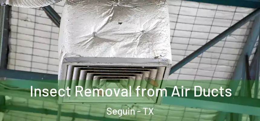 Insect Removal from Air Ducts Seguin - TX