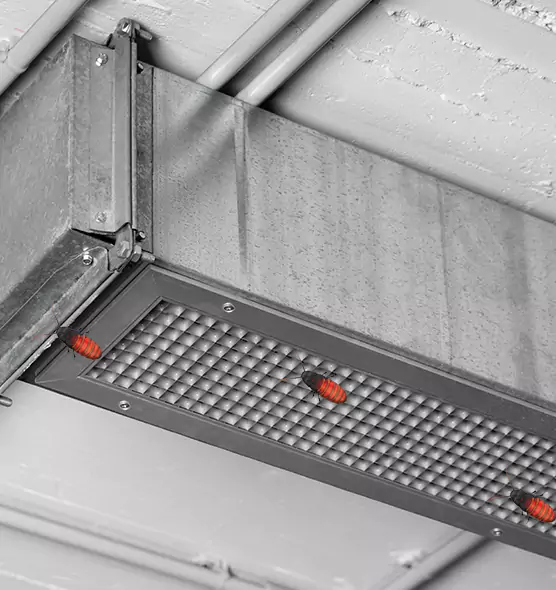 About Air Duct Cockroach Removal in Seguin, TX