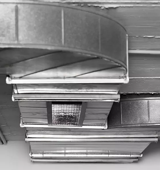 Professional Air Duct Pet Hair Removal in Seguin, TX