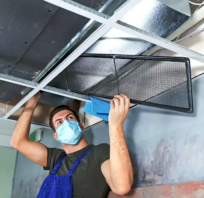 Why Homeowners Businesses Trust Us in Seguin, TX