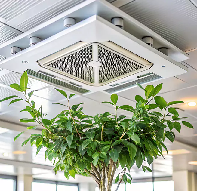 Why Homeowners & Businesses Trust Us in Seguin, TX?