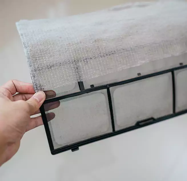 Why Homeowners & Businesses Trust Us in Seguin, TX?