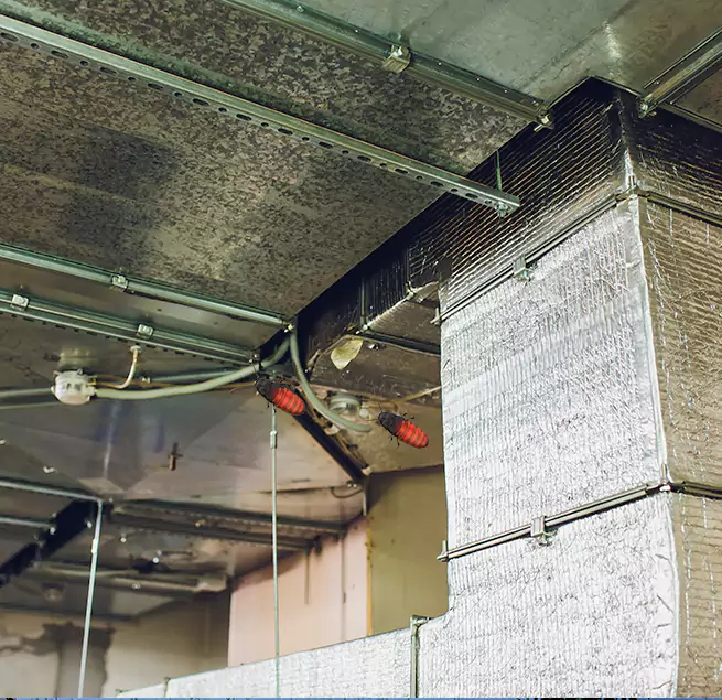 Why Homeowners & Businesses Trust Us Seguin, TX?